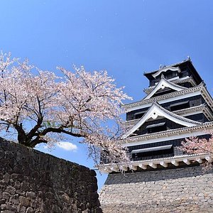 🏞️ 다카부토야마 전망대(타카부토야마 루ック아웃) 이미지 7